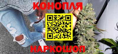 Альфа ПВП Донской