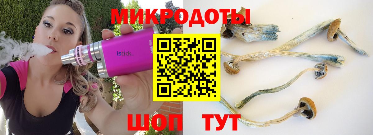 Моздок  Галлюциногенные грибы Magic Shrooms  продажа наркотиков  Вход с VPN 