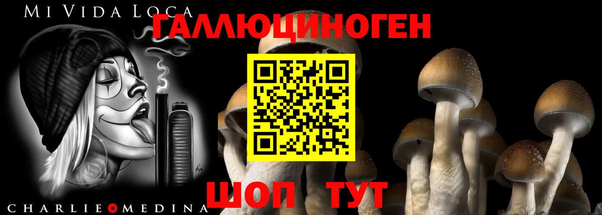 Псилоцибиновые грибы Magic Shrooms Моздок